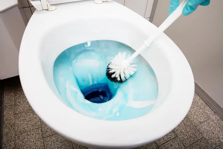 Toilet Brush cleaning a white toilet with cleaning fluid inside the bowl