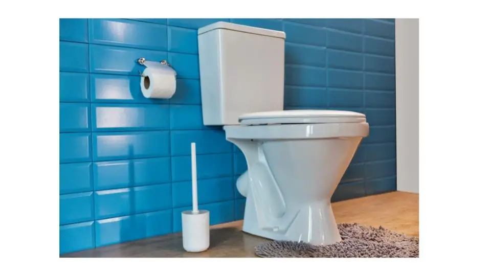 are toilet seats universal